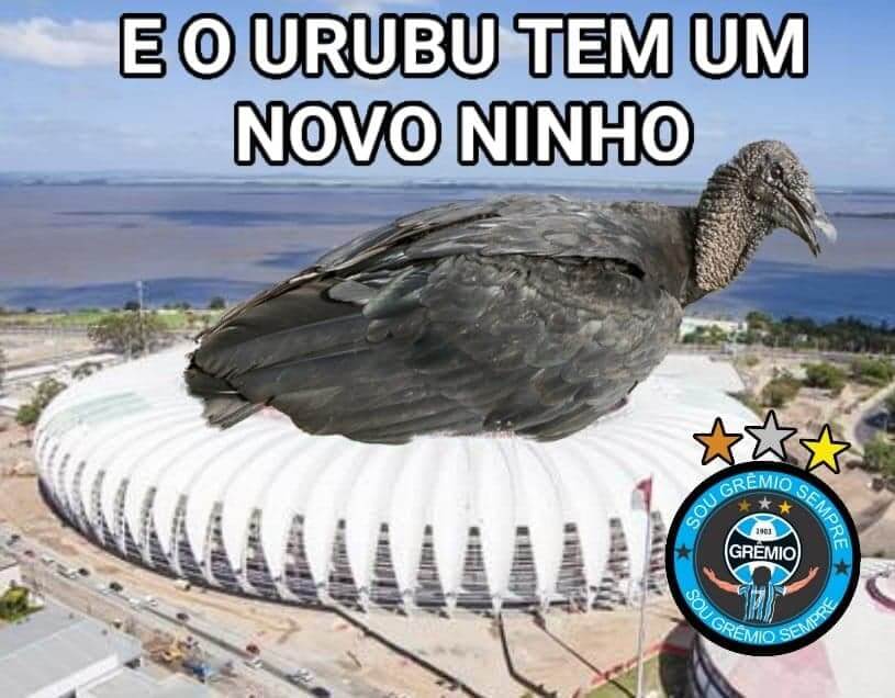 Palmeiras E Flamengo Sao Alvo De Memes Apos Eliminacoes Futebol Ig