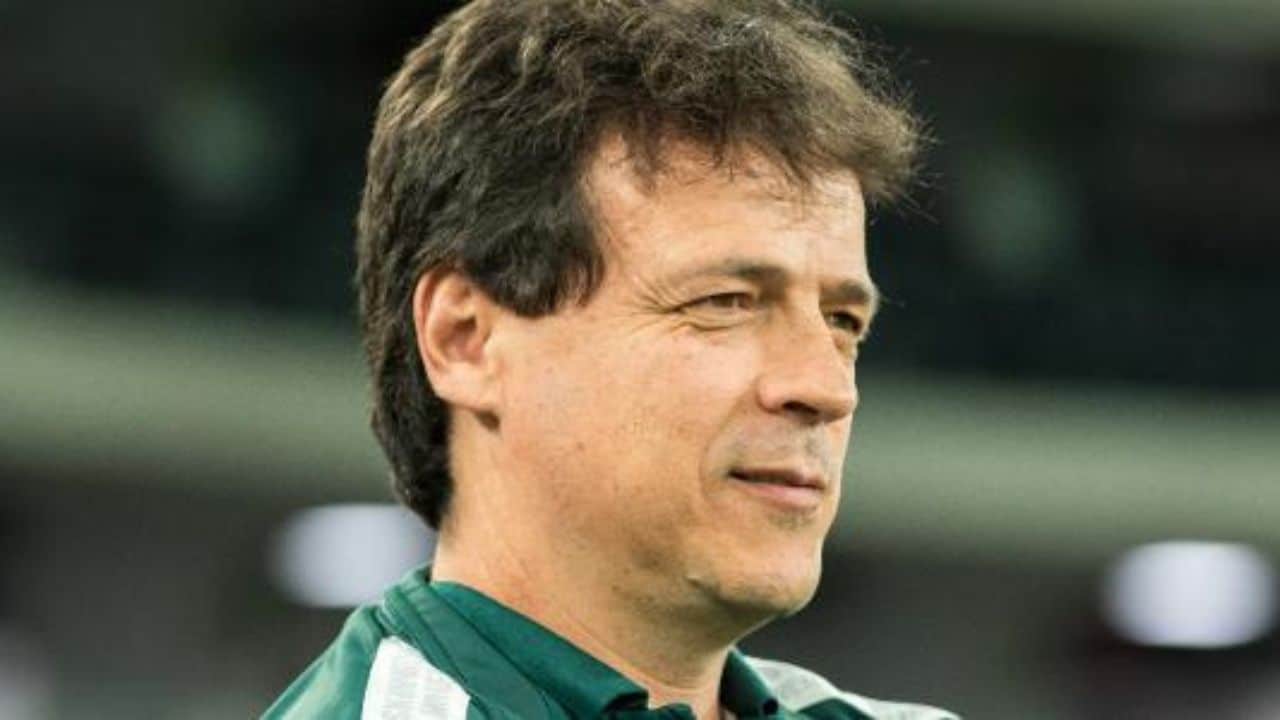 Grêmio Fernando Diniz Fluminense