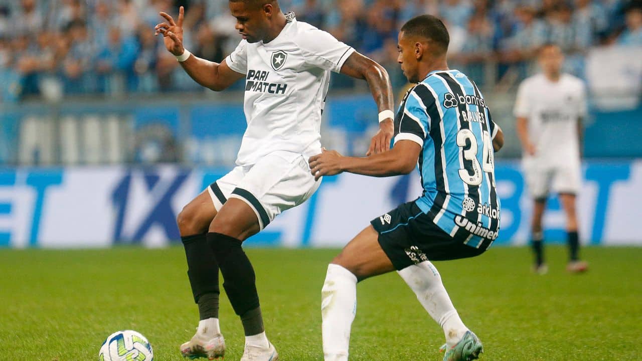 Grêmio x Botafogo - Brasileirão 2023 Renato Portaluppi