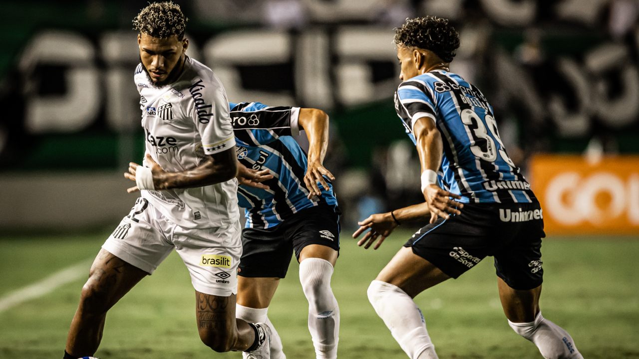 Assistir Santos x Grêmio ao vivo grátis 20/08/2023