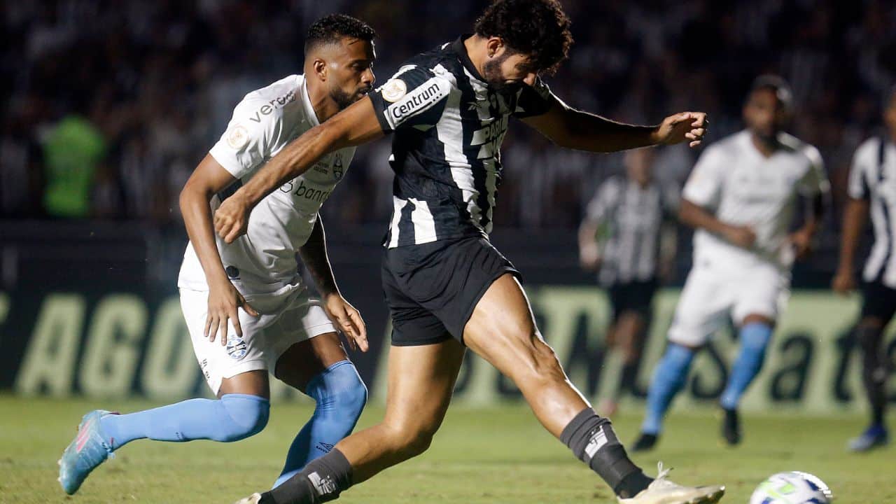 Botafogo x Grêmio Brasileirão 2023