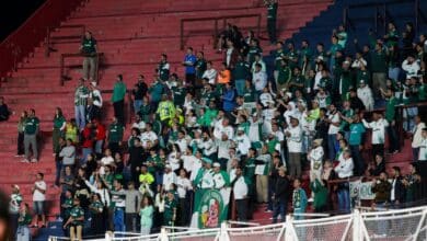 portaldogremista.com.br racismo contra a torcida do palmeiras na libertadores gera pedido de desculpas de algoz do gremio torcida do palmeiras estadio san lorenzo