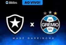 Acompanhe Botafogo x Grêmio ao vivo