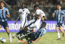 Botafogo mobiliza torcida para encarar o Grêmio no Mané Garrincha