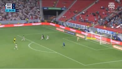 Melhores momentos de Botafogo x Grêmio