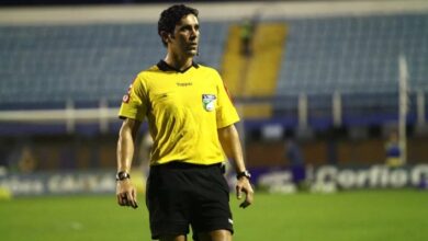 portaldogremista.com.br daniel bins se pronuncia sobre polemicas de arbitragem no grenal gremio daniel bins grenal