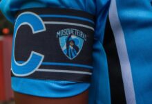Mosqueteiras Grêmio