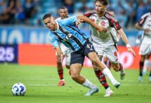 Grêmio x Flamengo - Campeonato Brasileiro - Alysson