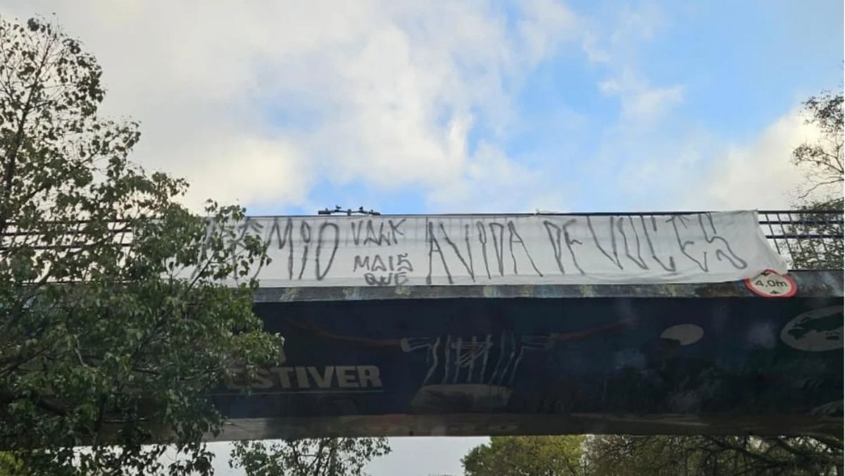 image para ilustrar o artigo