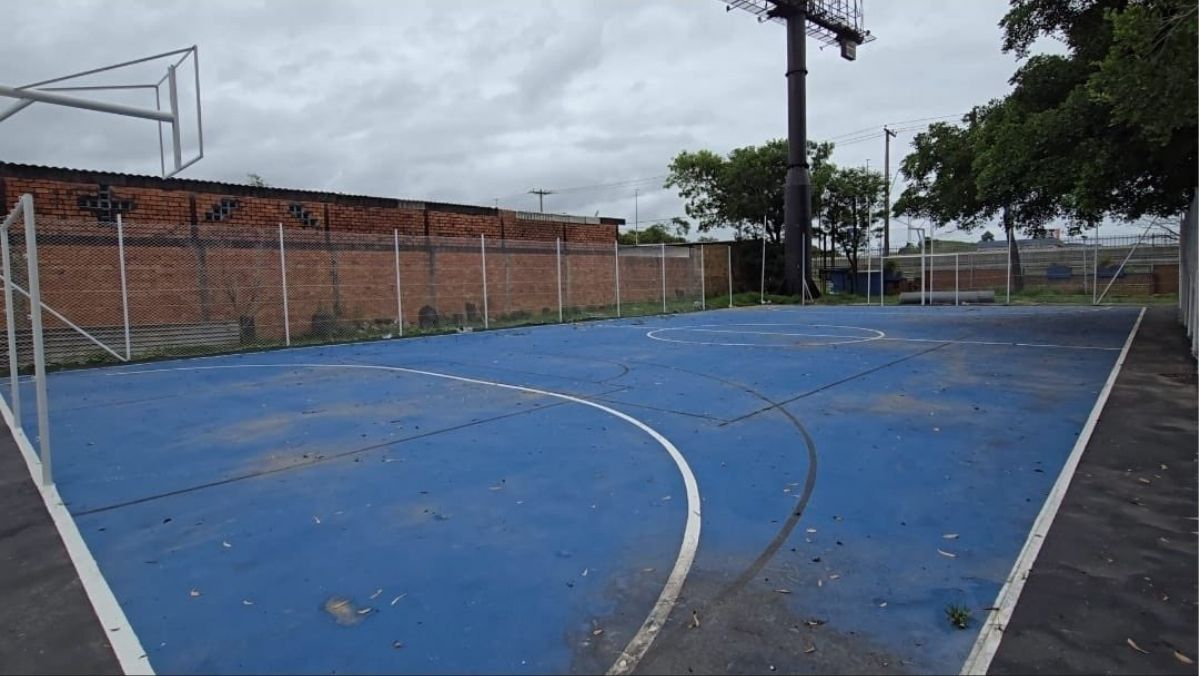 image para ilustrar o artigo