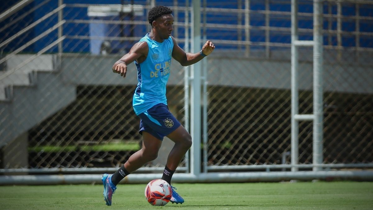 image para ilustrar o artigo