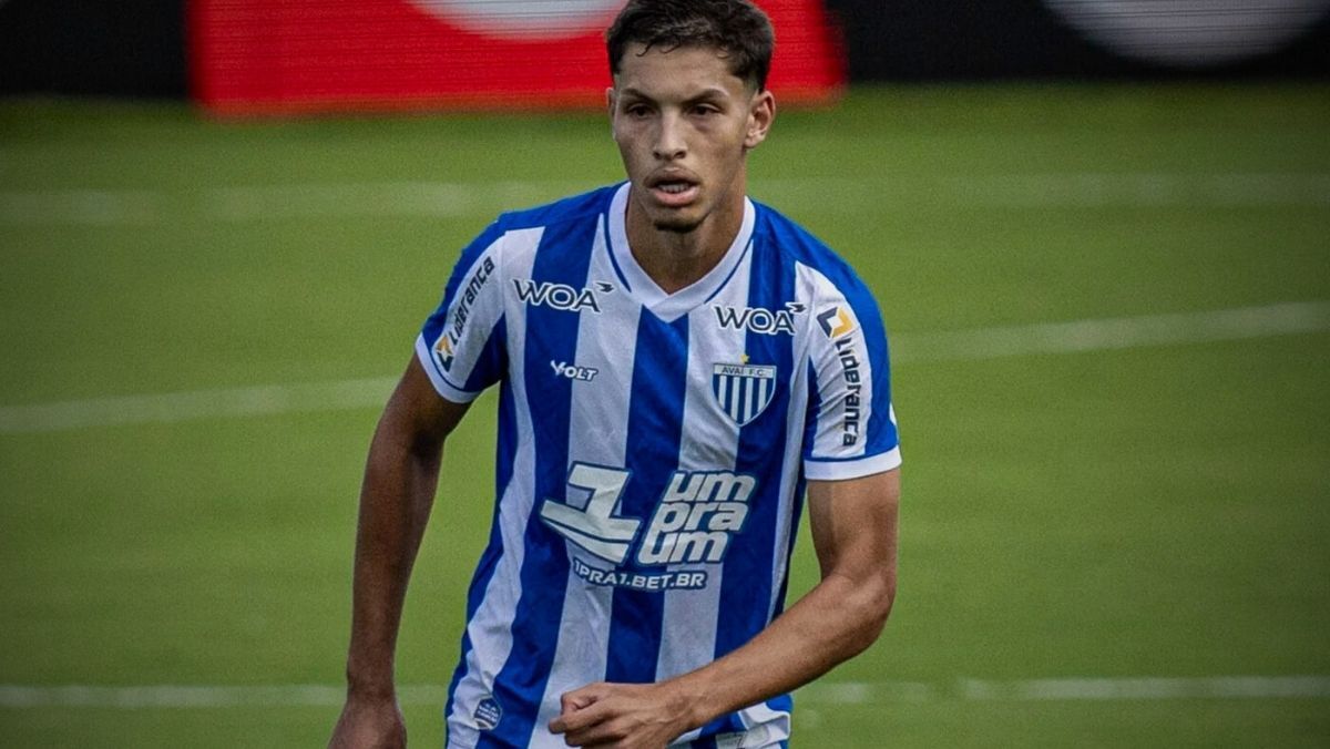 image para ilustrar o artigo