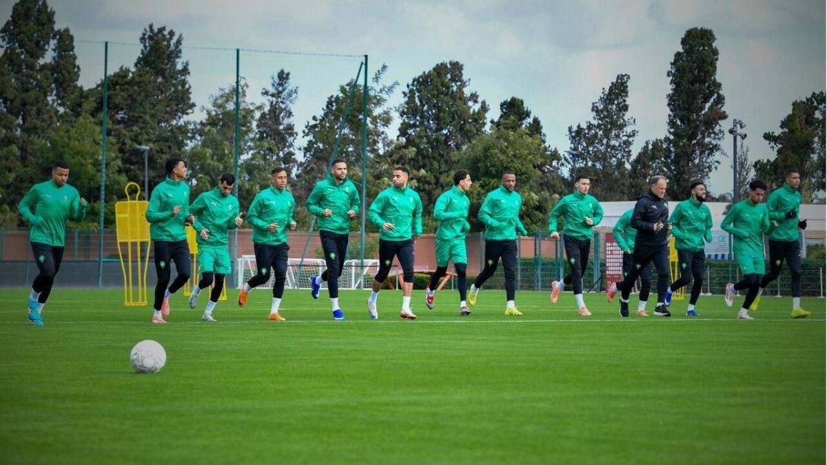 image para ilustrar o artigo