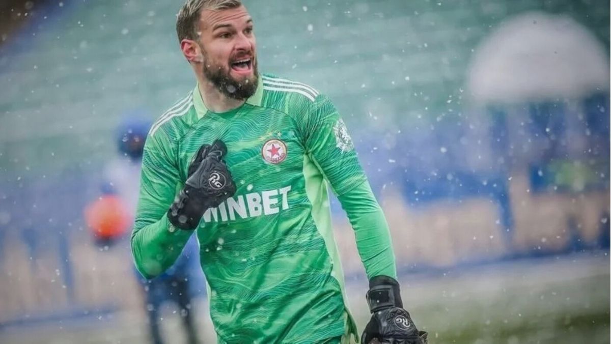 image para ilustrar o artigo