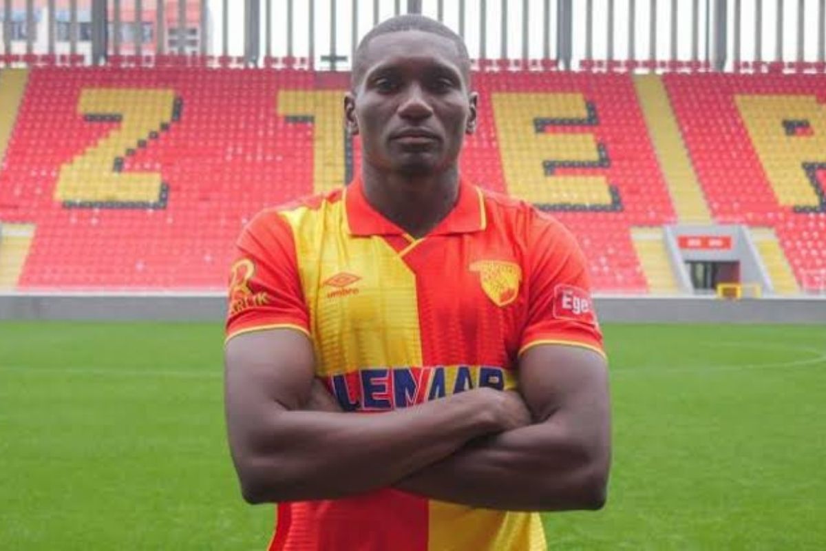 image para ilustrar o artigo