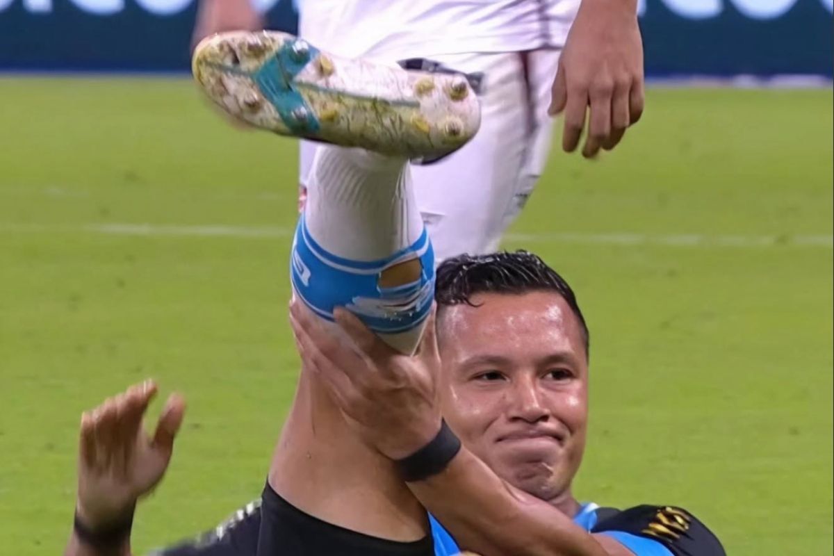 image para ilustrar o artigo