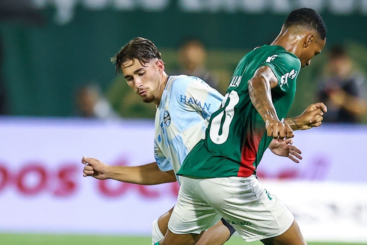 image para ilustrar o artigo