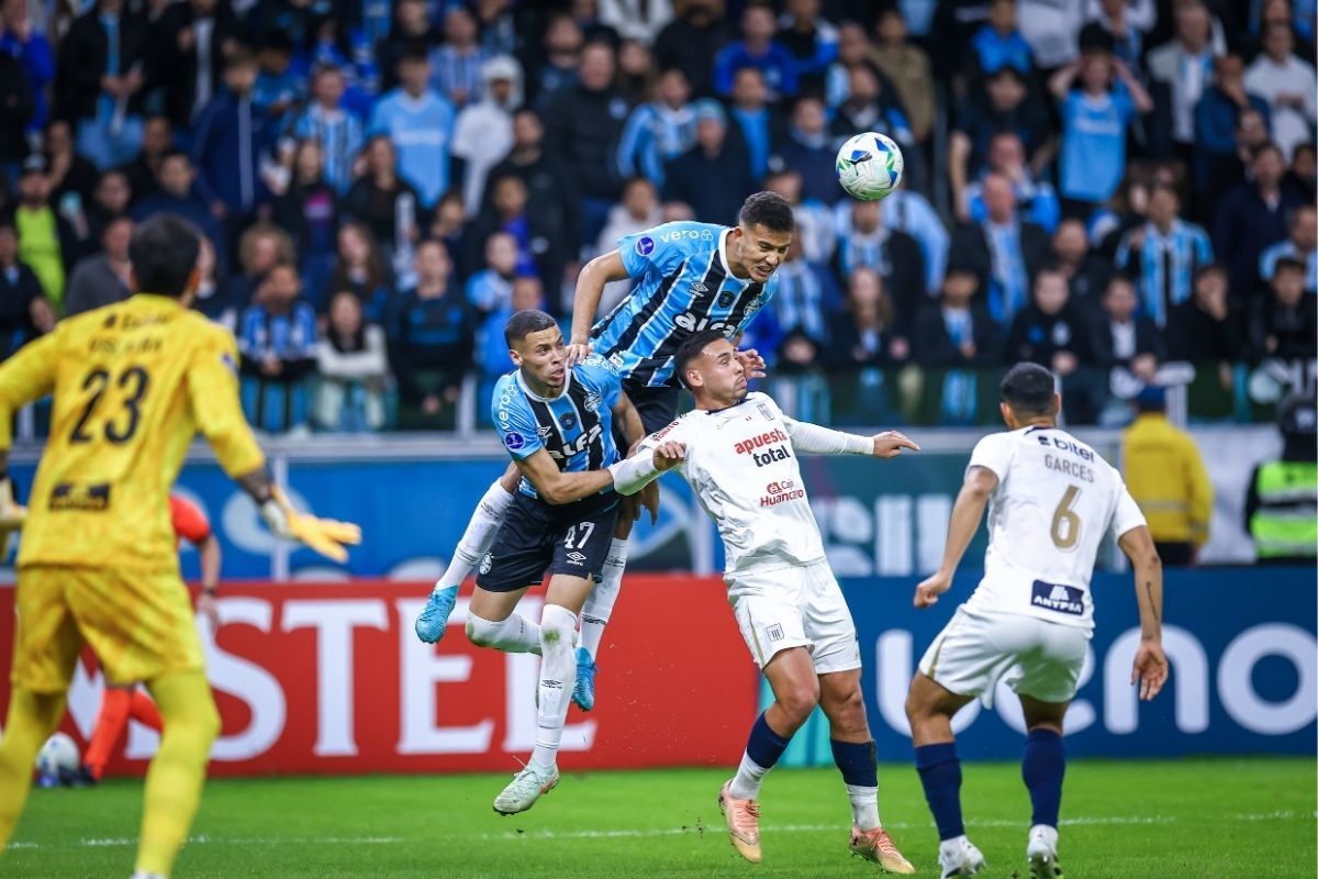 image para ilustrar o artigo