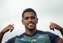 Lei do Ex? Como chega o Coritiba para enfrentar o Grêmio na Arena - Coritiba Grêmio, Coritiba, Brasileirão 2026, Pedro Rocha, Fernando Seabra, Arena do Grêmio, Série A, futebol brasileiro