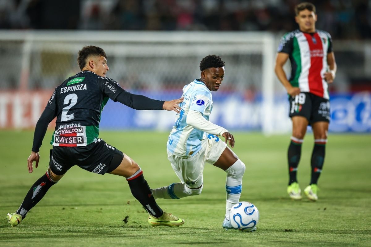 Grêmio, Palestino, Sul-Americana